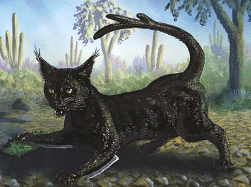 cryptids-of-the-world: The Cactus Cat is a feline-like cryptid found in the Southwestern United Stat