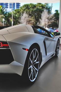 johnny-escobar:  Aventador Roadster 