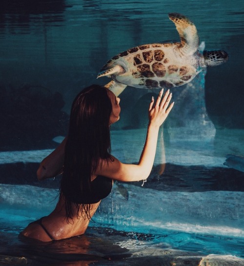 alexisren-daily:  bryant: this morning w/ @alexisren at the #slsbahamar ✨ ⠀⠀⠀⠀scroll 👈🏼 to see more // #worldofsbe 🐢