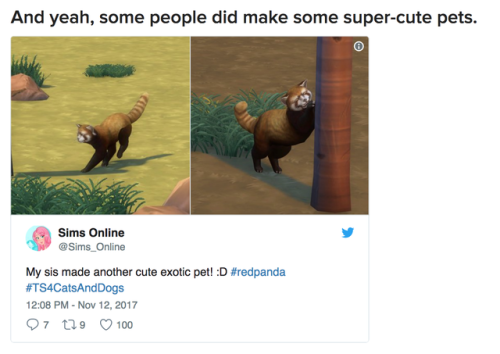 buzzfeed: People Should Never Have Been Allowed To Build Pets On “The Sims 4”