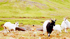 lady-arryn-deactivated20140718:  &lsquo;Tis a big and beautiful world. Most of
