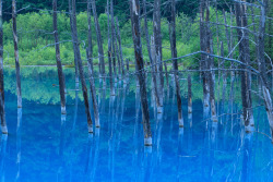 llbwwb:  (via 500px / Deep blue pond by Masayuki Miyamoto)