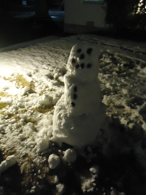 It snowed in Tokyo yesterday!