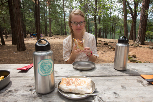 McArthur-Burney Falls: Near Lassen Volcanic National ParkWe didn’t do a lot of research b