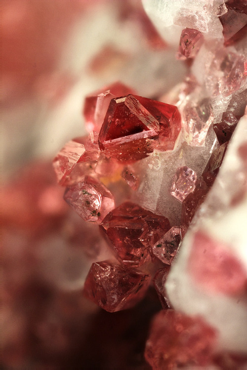 Eudialyte - Mont Saint Hilaire, Québec, Canada