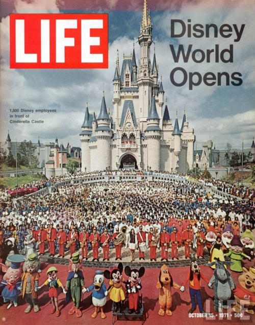 1955 life magazine