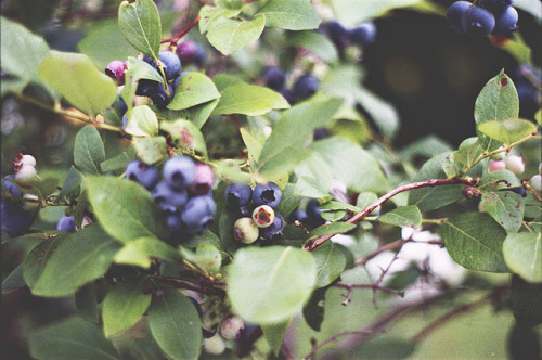 lemographie: Instagram | Website