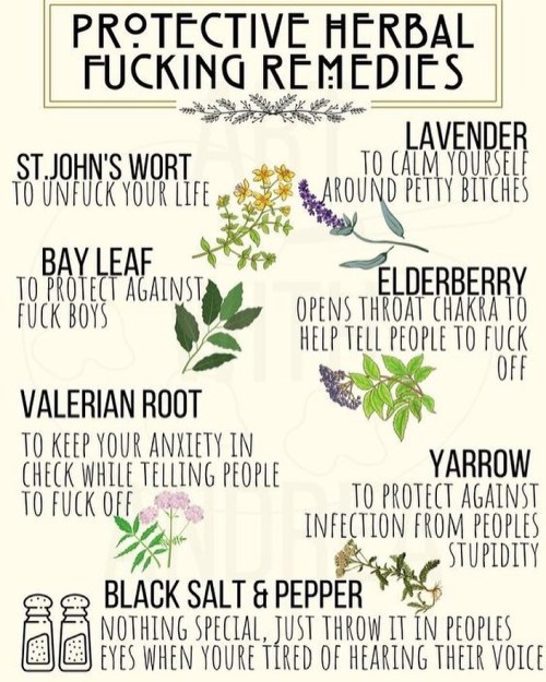 Hilarious and I love. Via: @moonstreetkits on Etsy#herbalremedies #kitchenwitch #greenwitch #herbs