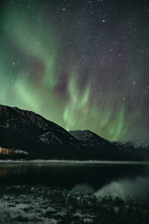 theencompassingworld:jovellyism:Aurora Borealis dancing over Eklutna Lake, Alaska.Explore The World 