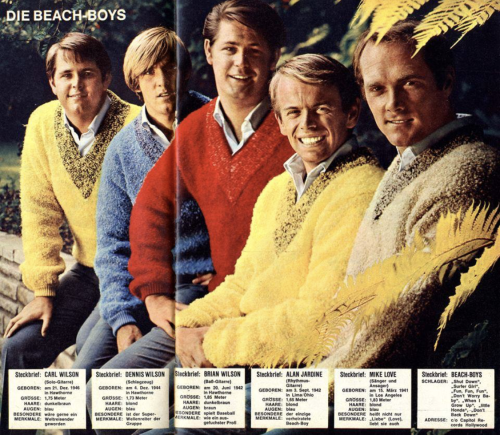 The Beach Boys featured in German “Bravo” magazine, August 1965.Note: ‘Die’ means ‘the’ in German.