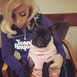 gagasgallery: @ladygaga: Oh alright mummy but I want organic kibble in my nice bowl on this flight, this is all feeling very un-chic. Although this turtleneck is quite nice.