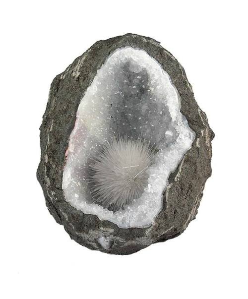 Marine mineralLike a sea urchin lurking in a coral cavelet, a beautiful spray of the zeolite mineral