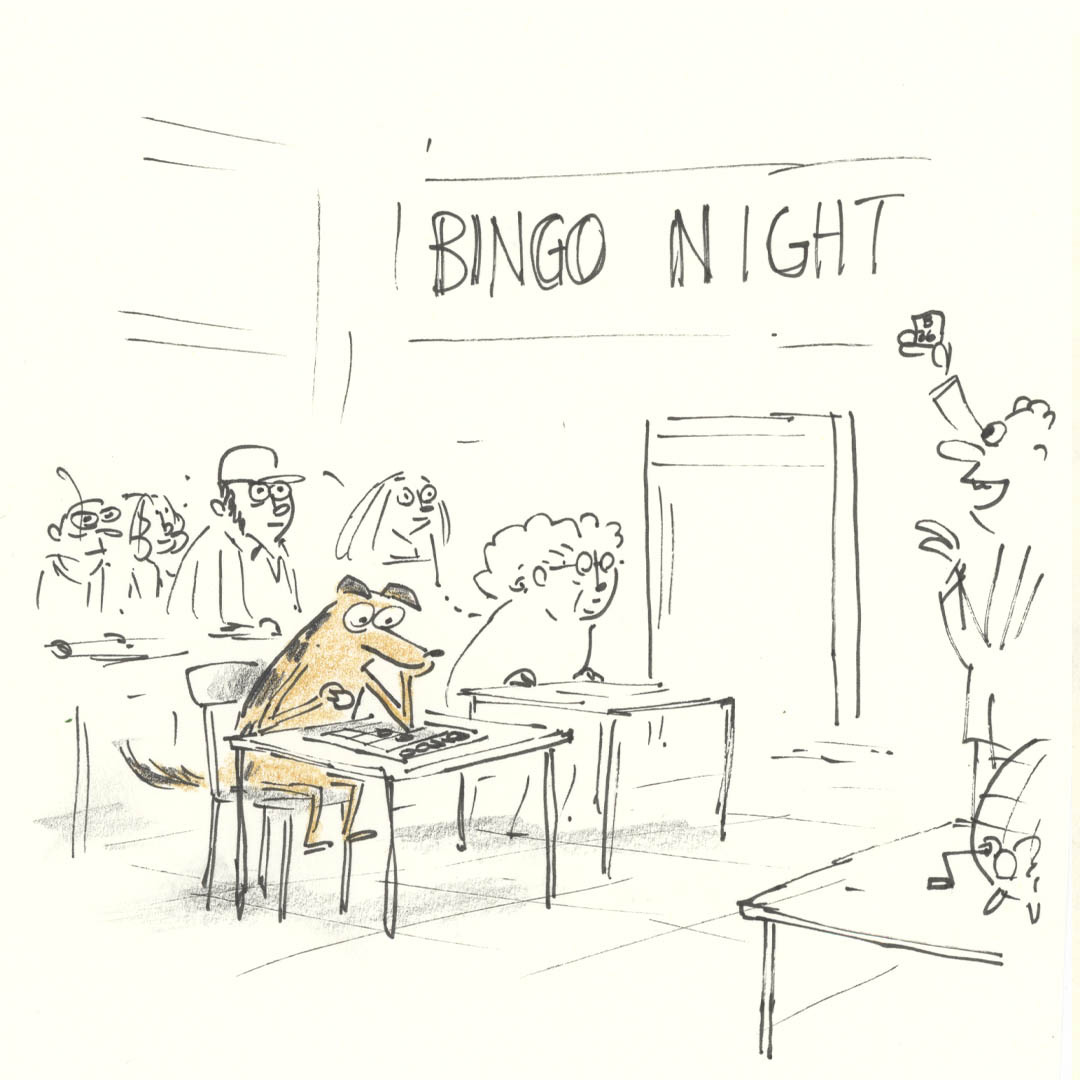 A dingo playing bingo.