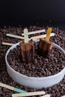 veganinspo:  Vegan Chocolate Fudge Popsicles