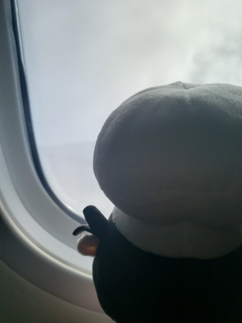 Plush Pep's Travel In Europe (more Photos Below The Cut)