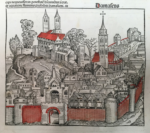 msulconservationlab:The Nuremberg Chronicle (1493) is renowned for its fantastic woodcut illustrat