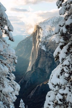 maureen2musings:  Yosemite in a blanket of snowmasonstrehl