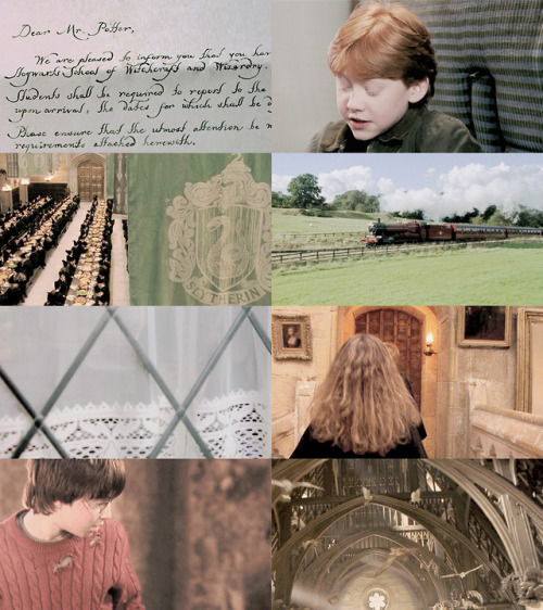 jrrtolkiens:  “It does not do to dwell on dreams and forget to live.”