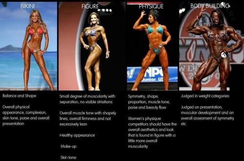 sexyfitnessgirls:  Whats the difference between them all ! Reblog it 
