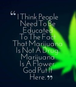 nothingbutbud:  Weed quote