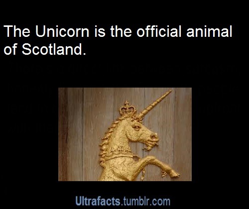 where-my-sidewalk-ends:  I love the fact I have Scottish heritage…the Scots are nuts and I love them!!