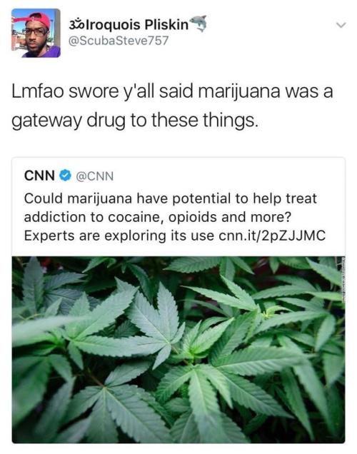 lagonegirl:This has been known since weed was discovered. The war on drugs was just too profitable to be bothering with the truth, though. The war on drugs = the bar on black… 