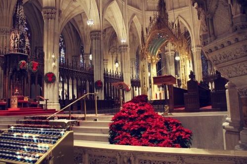 Photo Shoot: Christmas at St. Patrick&rsquo;s Cathedral!