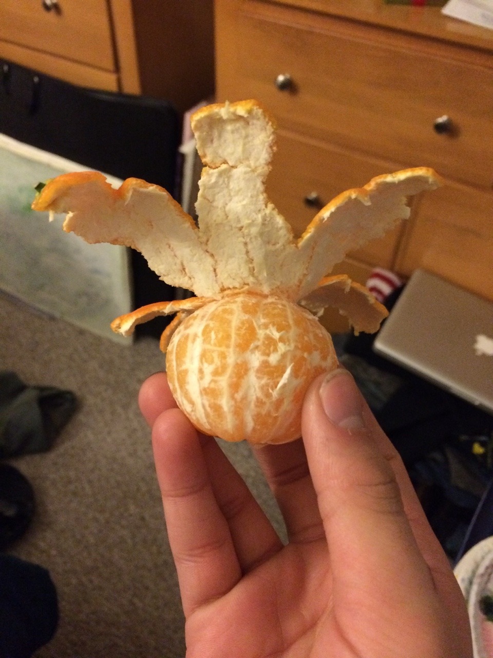 tupacabra:  the weeknd look like this clementine 