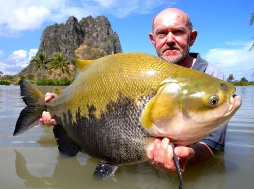 This Secret Lake In Thailand Has Got Worlds Biggest Fish In It