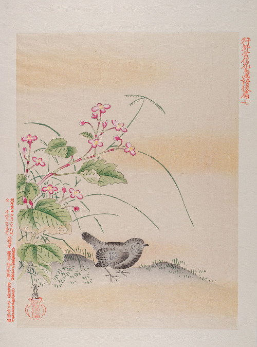 Birds and flowers after Kanō Tsunenobu,  (1636–1713). MKG Hamburg