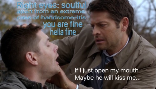angrysouffle:  Suspicious Screencaps Everything Is Fine.