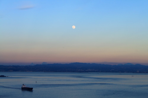 The Bay San Francisco© fred postles