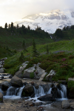 wonderous-world:  Mt. Rainier, Washington,