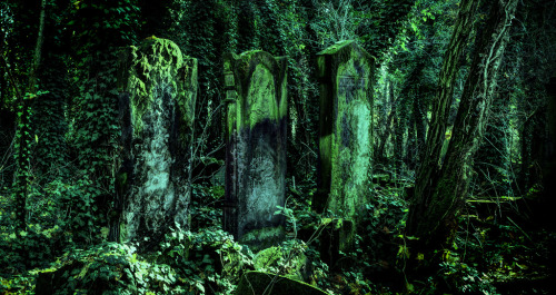 lunaranox: Forgotten Graves: one / twoby Arkandor Draconis