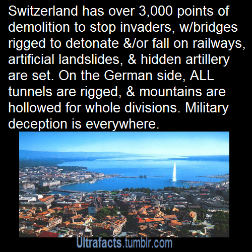 ultrafacts:  femgermania:  datsweetlynn:  ultrafacts:  For more posts like this, follow Ultrafacts (Source)  Damn Switzerland ain’t playing  Also in WWII, they’d literally shoot down every plane that came into their airspace, whether Allied or Axis