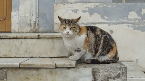 Odessa, Ukraine 2015