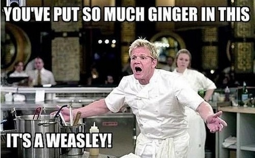 kawree:  circletines:  a harry potter au where potions is taught by gordon ramsay   
