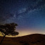 aestheticnaturereblogs