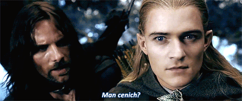 theheirsofdurin:  Aragorn, something is out there!- What do you see? 