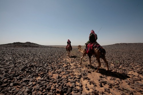 Nabil Boutris on his experience photographing Bedouin in Egypt: The desert can be fascinating; 