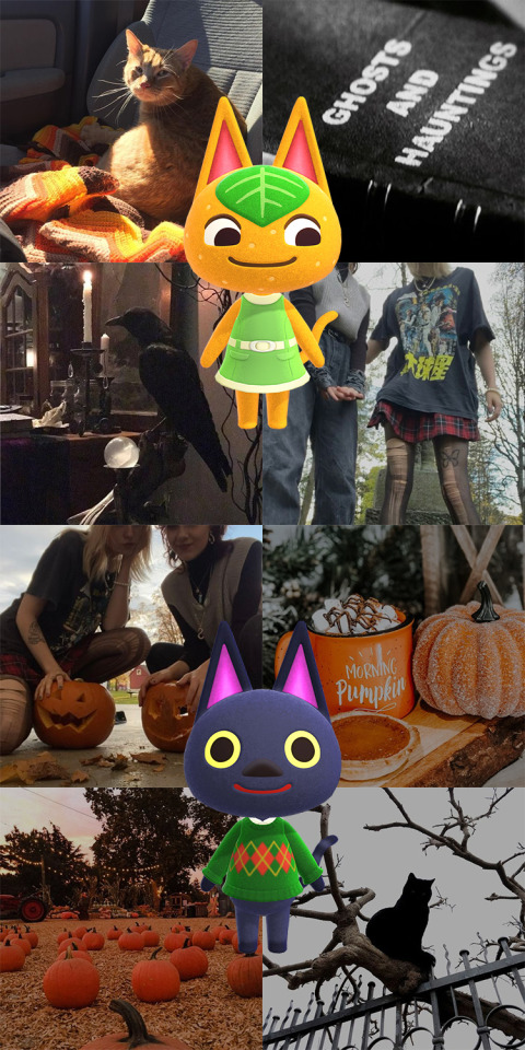 Kiki x Tangy w/ fall + Halloween vibes aesthetic for anon, I hope you like it!! #aes#aesthetic#requests#animal crossing#ac #animal crossing new horizons #acnh#lgbt#lgbt+#halloween#autumn#fall#kiki#ac kiki#tangy#ac tangy