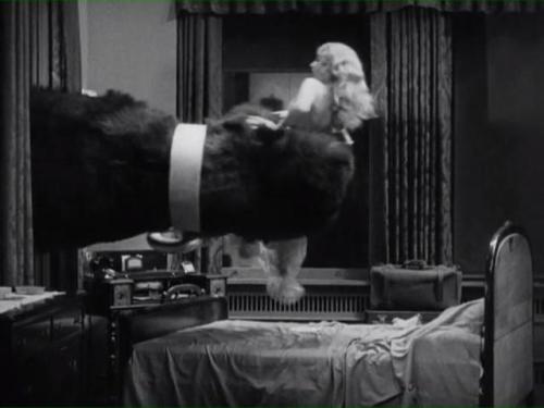 King Kong (Merian C. Cooper, Ernest  B. Schoedsack, 1933), Rampage (Brad Peyton, 2018).TumblrCh