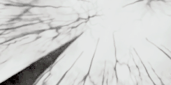 daenelicious-deactivated2014112:I want you to listen to me very carefully, Harry. You’re not a bad p