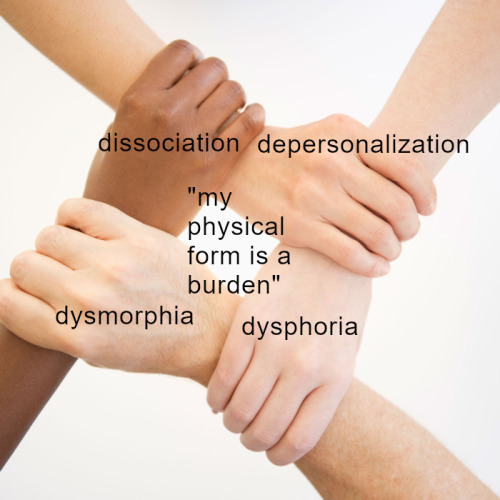 dysmorphia