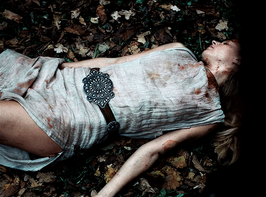 356bb3891f816bbdf1a870f651c0f044f129bf66.gif