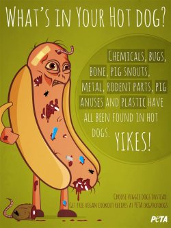 Angryveganblogger:  Pureveganimagination:  I Found Out What Hot Dogs Were Made Of