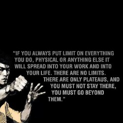 bruceleeshrine:  #BruceLee by thereelchopper