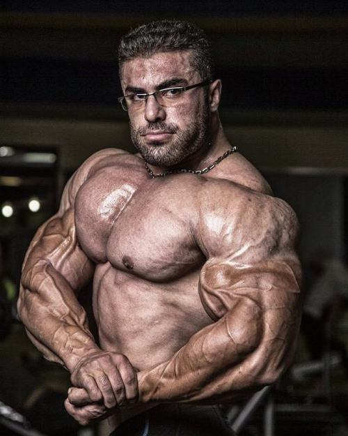 alphamusclemeat: Behrooz Tabani