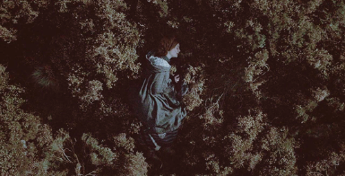 ironisles: Jane Eyre (2011) You’re altogether a human being, Jane. I conscientiously believe s