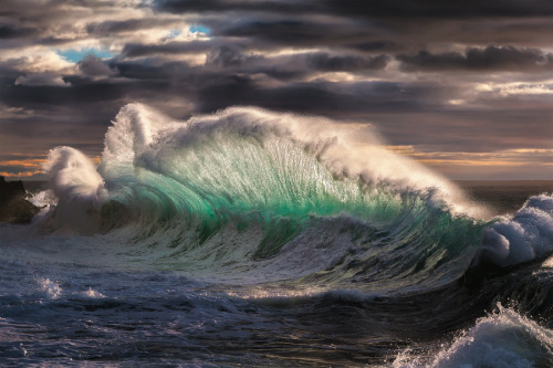 nubbsgalore: photos by giovanni allievi in savona, italy (see also: previous wave posts)